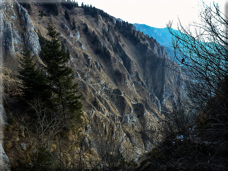 foto Salita dal Monte Tomba a Cima Grappa